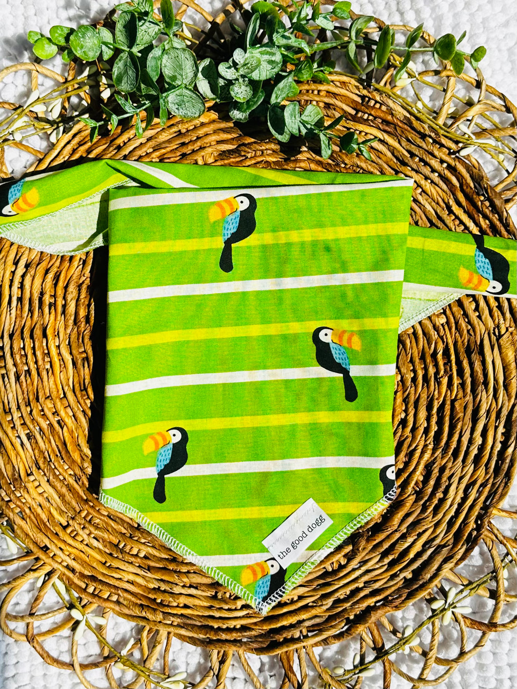 Tropical Toucans Tie On